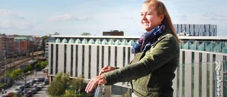 USA inspireras av Uppsalas broar