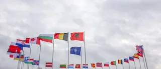 ”En avveckling av NATO skulle ge Europa sin självständighet tillbaka både militärt och ekonomiskt”