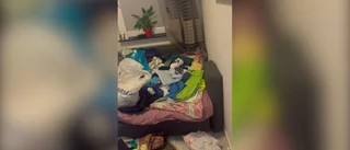 TV: Se förödelsen i familjens hem efter inbrottet