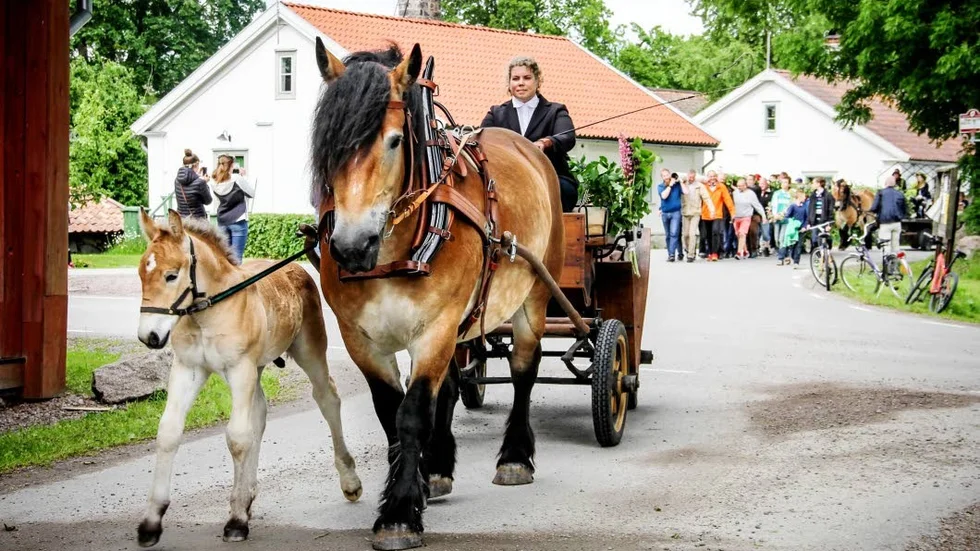 Det här ekipaget tog täten när vandringen med midsommarkransen från Ullfors Bruk till Ringvallen startade.