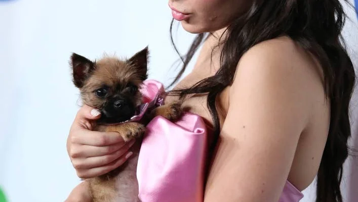 Charli XCX