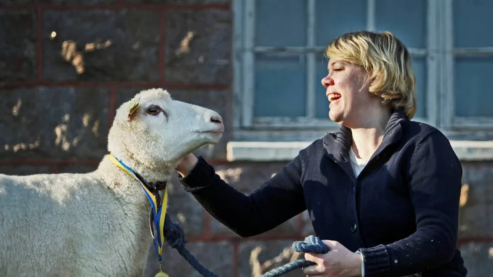 SM-guld. Titti Strömne vid Glada Fåret tog sitt tredje SM-guld för sina fina fårfällar. Här med tackan Goldie, mamma till årets vinnare.
