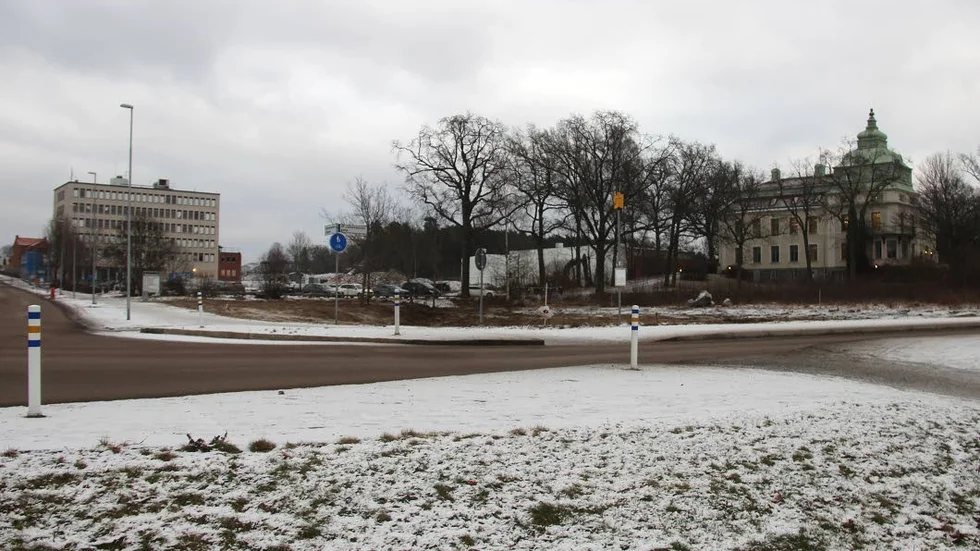 Plats för damm. En dagvattendamm ska ligga här, men hur parken ska se ut vill kommunen vänta med att besluta.