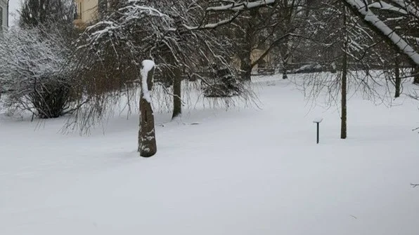 Ordentligt snötäcke i Universitetsparken på onsdagsförmiddagen.