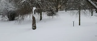 Äntligen snö! Eller?