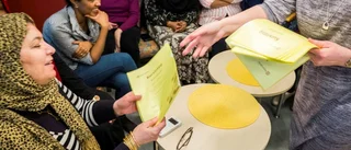 Kulturdoulor ska ge mer jämlik vård