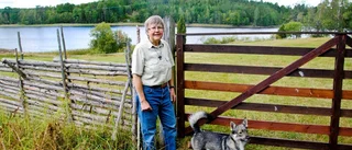 Tidlöst tema i Hjortvids 19:e bok