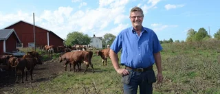 Kina-comeback höjer mjölkpriset