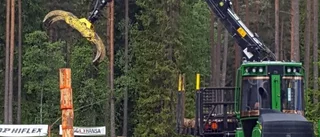 Martin Henrysson är mästare i skogsmaskinkörning