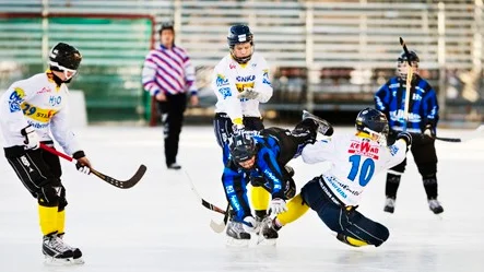 Sirius föll i finalen.