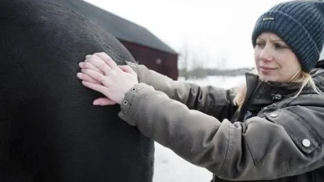 Sofie Jansson, diplomerad hästmassör.