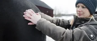 Så masserar du din häst