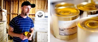 "Man lär sig att gilla surströmming"