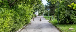 Medborgarna är kommunens ögon