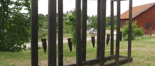 Konst vandaliserad vid Ulva kvarn