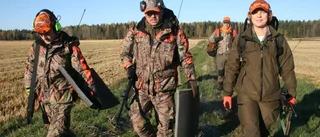 Dramatik i älgskogen