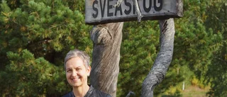 Skogsjätten öppnar kontor i Boden