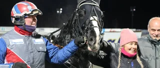 Roger sopade rent i Hästägarkannan