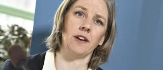 Aktivister bygger knappast hus