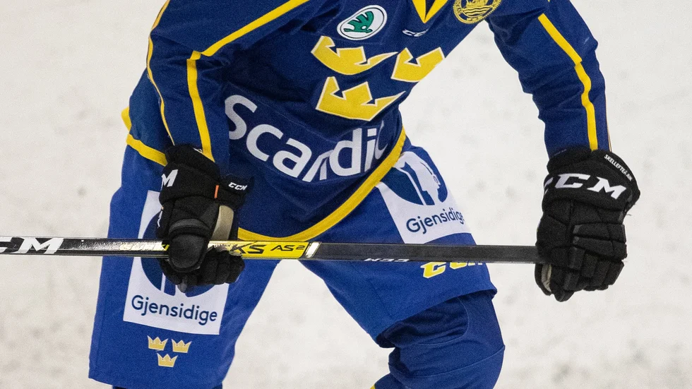 Elias Salomonsson och Småkronorna vidare till semifinal.