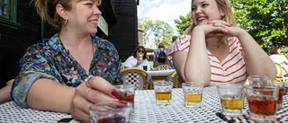 Mjödfestivalen har startat på Odinsborg