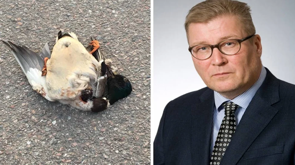 Psykologiprofessor Pär-Anders Granhag ger tänkbara förklaringar.