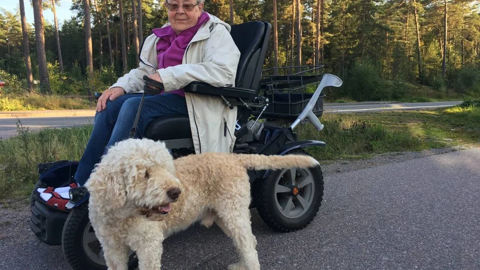 Sävjabon Ingrid Ekoff, som bor en knapp kilometer från Gotlandsresan, tycker det är olustigt.