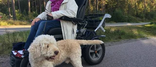 "Jag hörde skott vid femtiden"