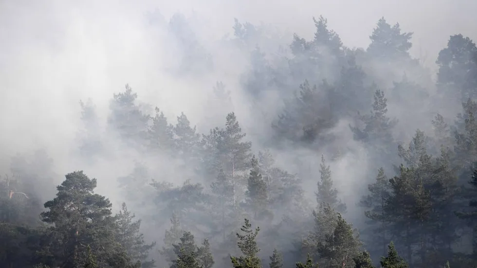 Räddningstjänsten har fått in nya larm om en skogsbrand i Jokkmokk.