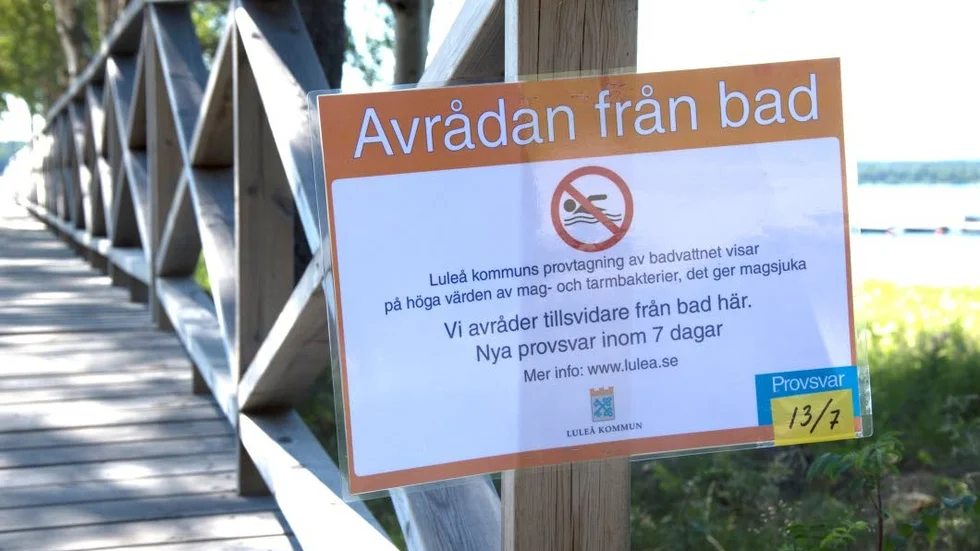 Luleå kommun avråder allmänheten att bada i Notviken.