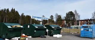 Nedskräpning i Luleå: "Ser förskräckligt ut"