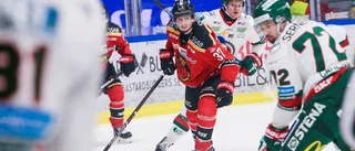 Betygen: De var bäst i Luleå Hockey