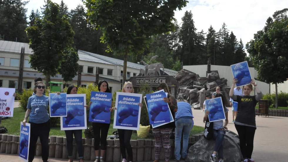 Djurrättsalliansen har flerar gånger anordnat protester utanför Kolmårdens djurpark.