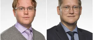 Sverigedemokrater känner också för Ukraina!