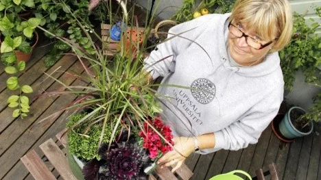 Petra Holmgren Reichler och hennes blommor