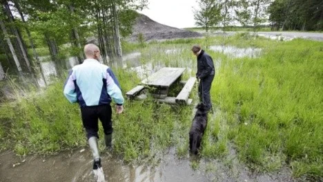 Naturområdet vid Nyby håller på att bli ett träskoråde. Leif Anderze´n och Kikki Widlund med hunden Willma visar runt.