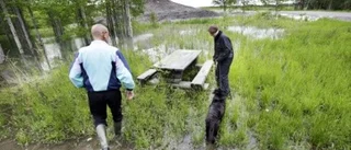 Snöhög dränker skog
