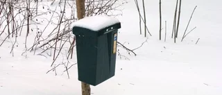 Tonårsgäng döms för sprängda brevlådor