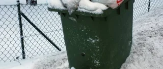 "Jag vill väl inte ha in råttor i huset"