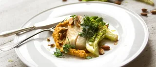 Torsk med kålrotspuré