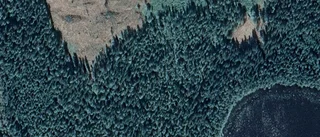 Klart med fastighetsaffär i Svinhult