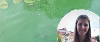Avråder från bad – kommunen: "Kan vara farligt"