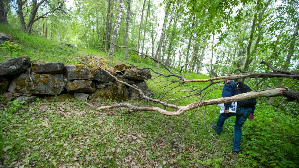 På Altappen finns en intressant lövskogsmiljö men även kulturmiljövärden efter den industriverksamhet som fanns på platsen mellan 1871 och 1908.