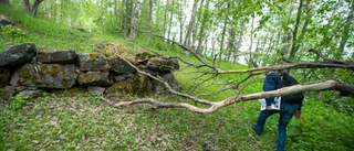 Här ska skärgårdens nya naturreservat bildas