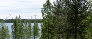 Vill veta vad kommunen tycker om vindkraften i Blåsmark
