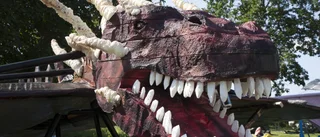 Uppsalagänget flög högt – tävlade med hemmabyggd Smaugdrake
