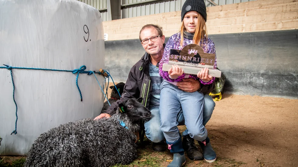 Marko Martinsson och dottern Agnes framför bagglammet Frej, som såldes för rekordsumman 72 000 kronor. "Jag visste att han var fin, men det här trodde jag aldrig. Det är jättekul!", säger Marko.