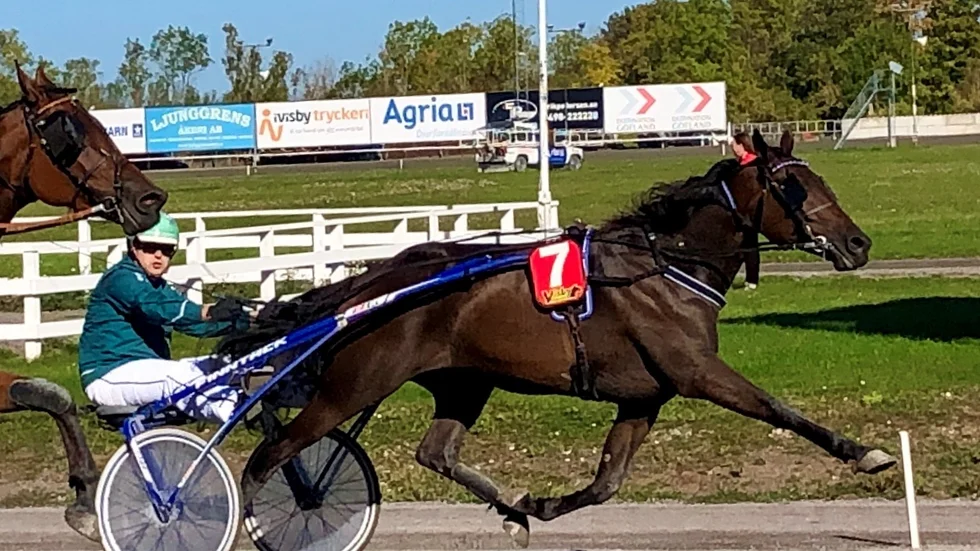 Victor flyger lågt. Patrik Franzén vann sitt livs tredje lopp och det med favorithästen Hellvis Victor. 