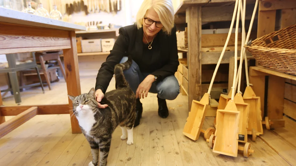 Moderaternas förste vice ordförande Elisabeth Svantesson besökte på fredagen Gotland och bekantade sig bland annat med Lilla Bjers katt samtidigt som hon fick en genomgång av verksamheten där.