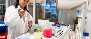 Unga forskare undantas ej – ”man kan inte kasta ut dem”